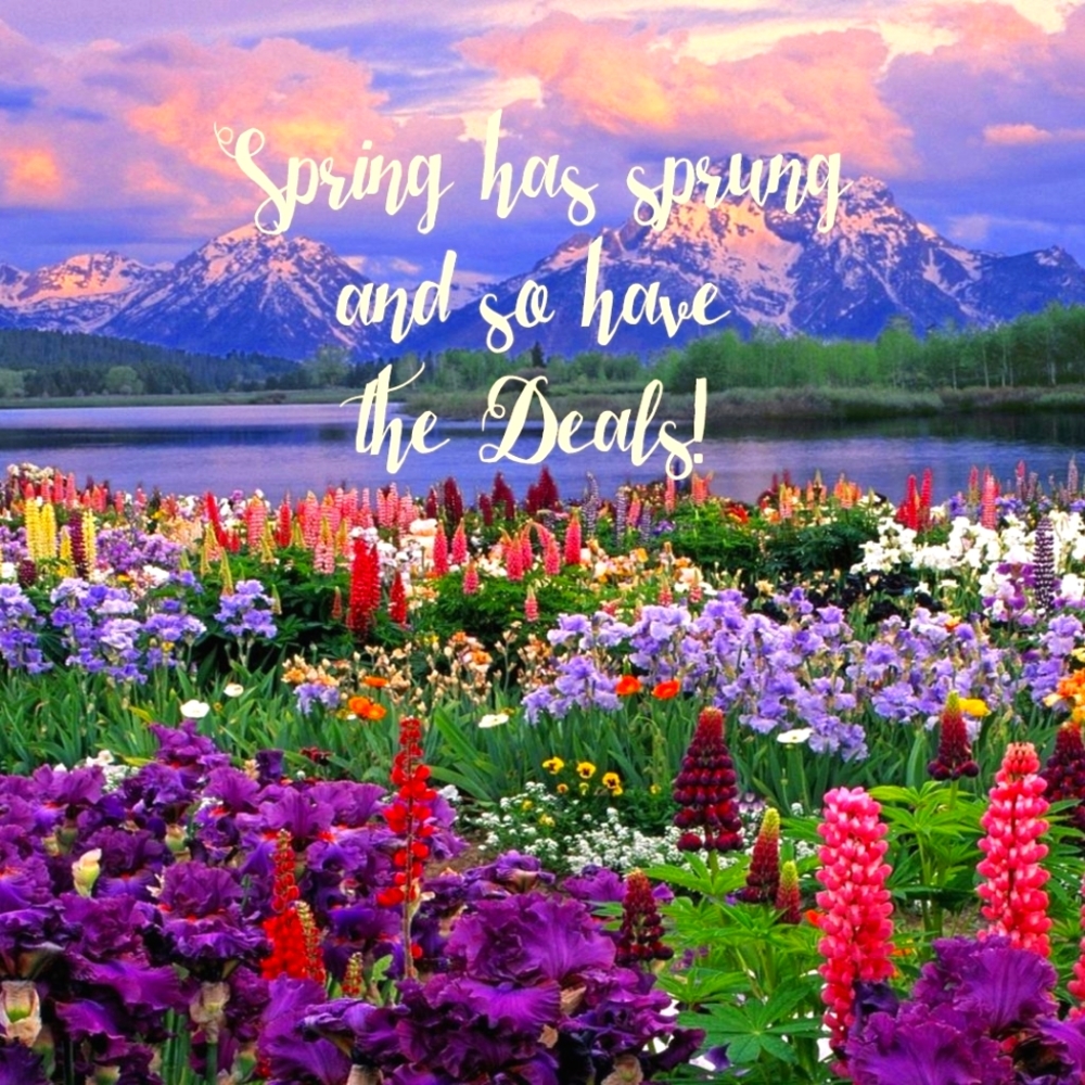 Blooming Deals 🌻